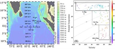 Picophytoplankton is the main contributor to living carbon and biogenic silica stocks in the oligotrophic Eastern Indian Ocean